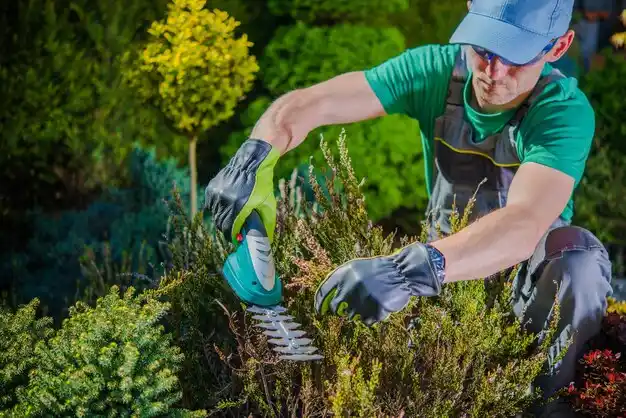 landscaping services Wauseon